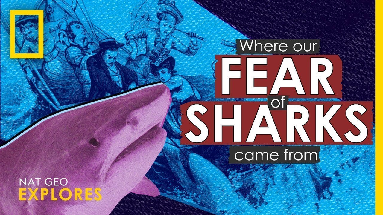 Thumbnail with Shark head looked at by scared people from the 1700s